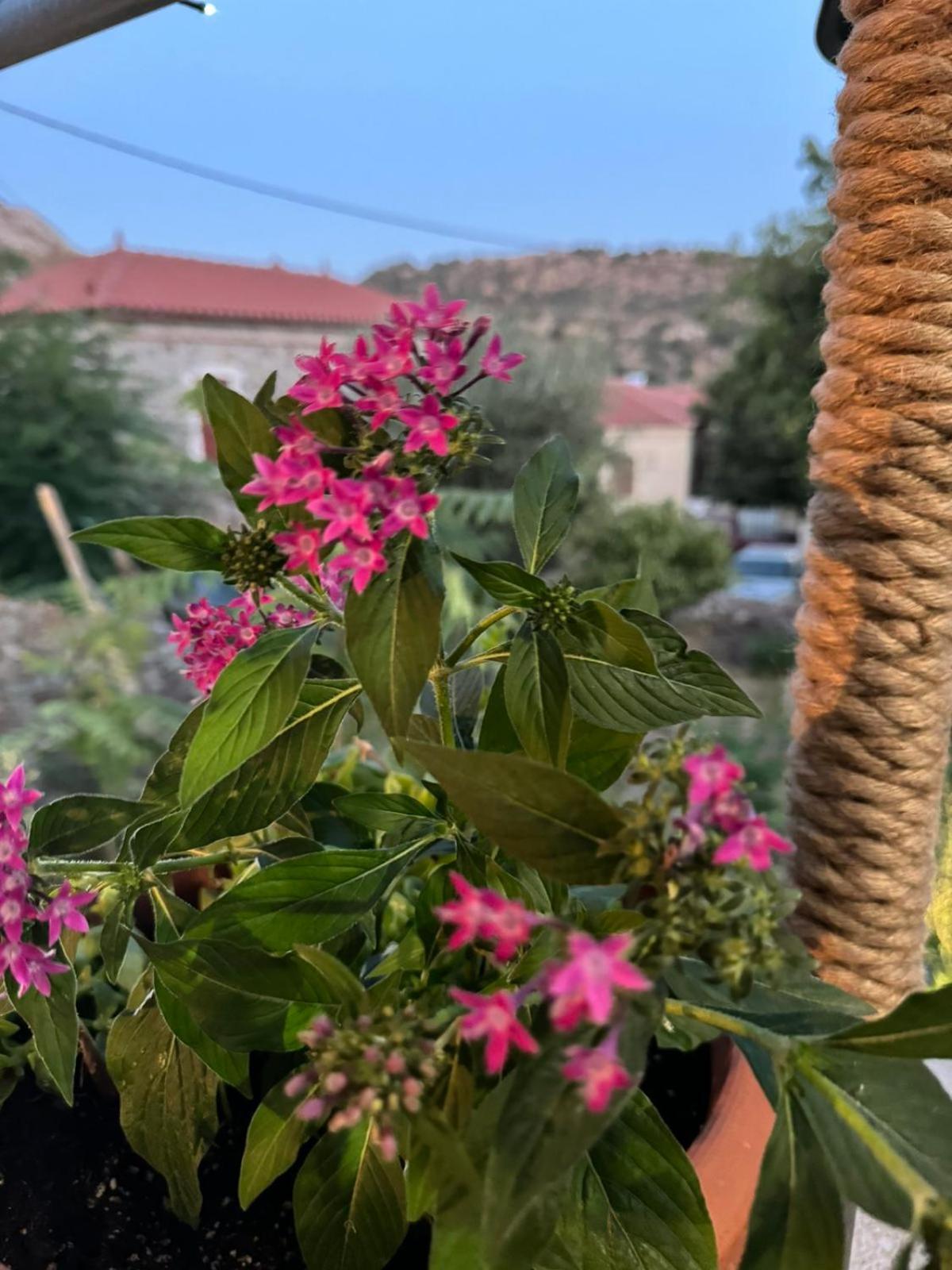 Afroditi'S 1 Eresos  Dış mekan fotoğraf